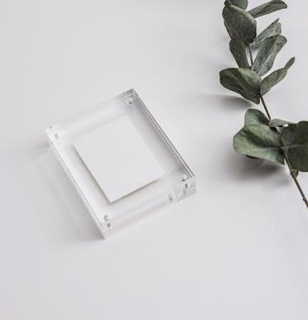 how to use the insta medal mounting card instructions