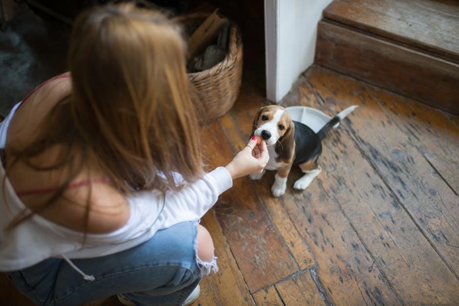 arden grange puppy feeding guide