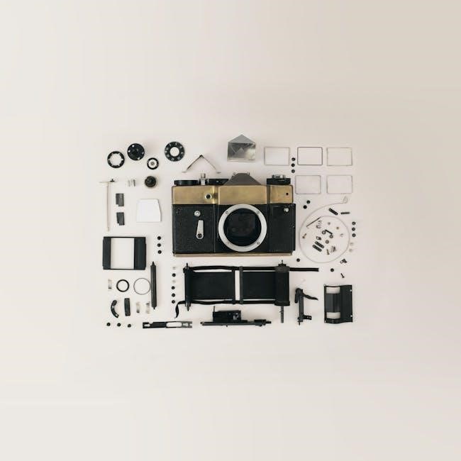echo cs 310 manual