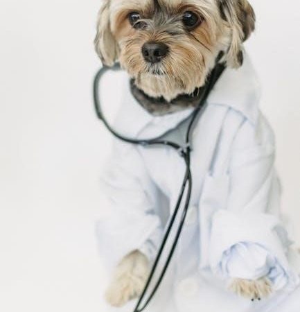 guide to plasma admnistration veterinary