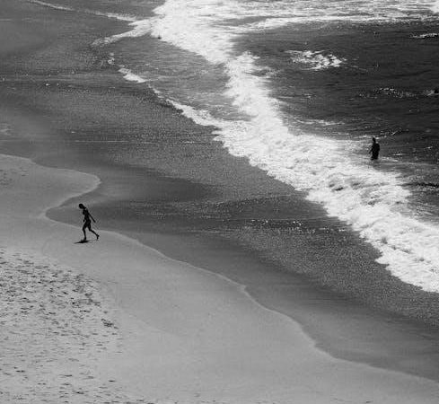 jonathan crary 24/7 pdf