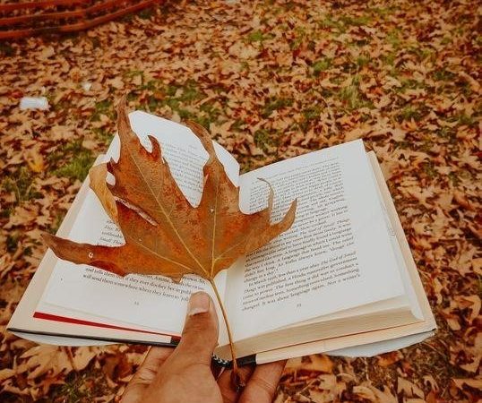 catcher in the rye pdf